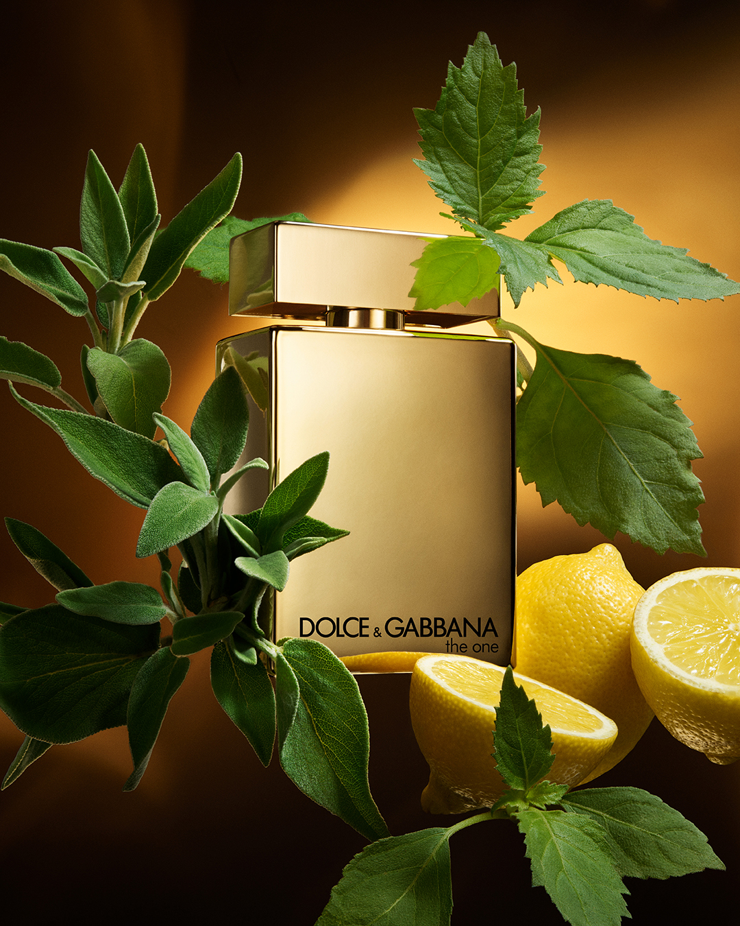 DG_FF_26_EC_PRODUCT_W_INGRED_TOPH_GOLD_EDPI_100ML_8057971188727_JPG_4_5_300DPI