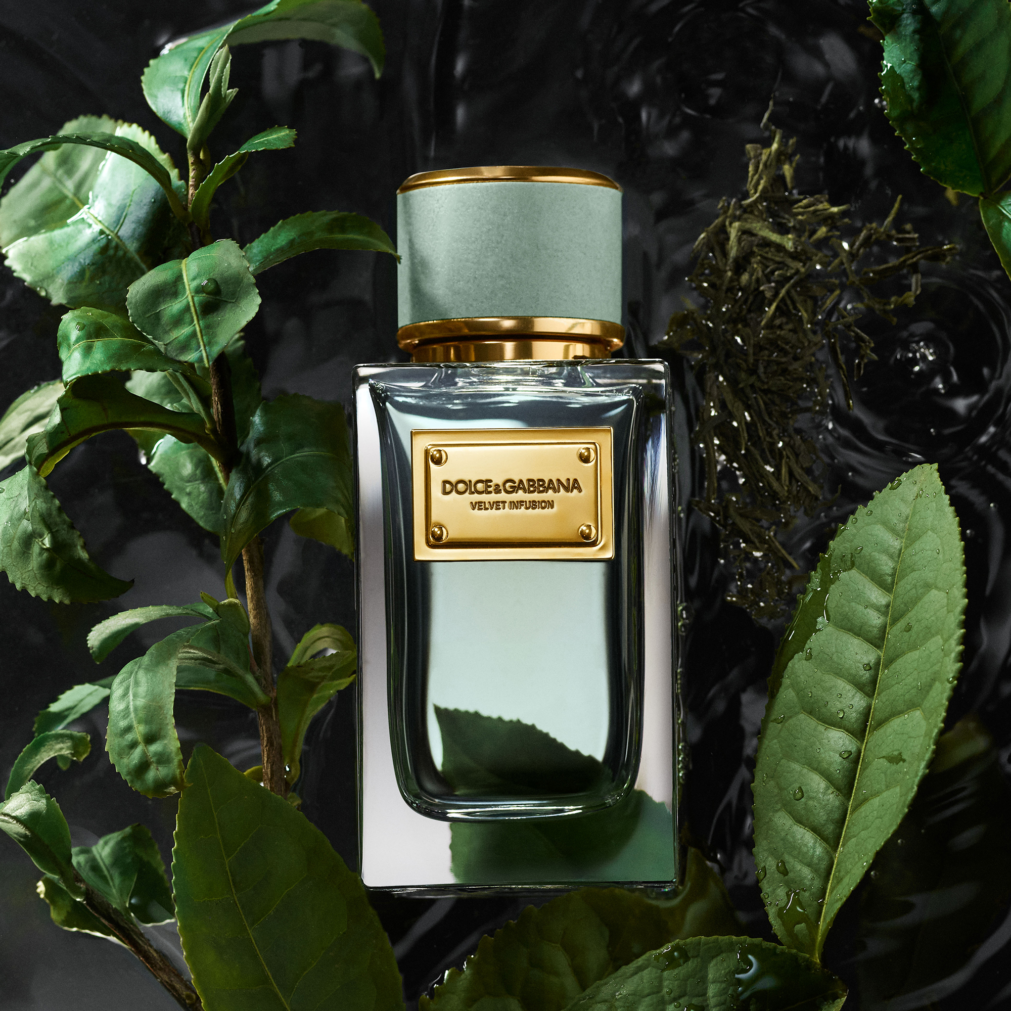DG_FF_EC_PRODUCT_W_INGR_VELVET_INFUSION_100ML_8054754400144_JPG_1_1_300DPI