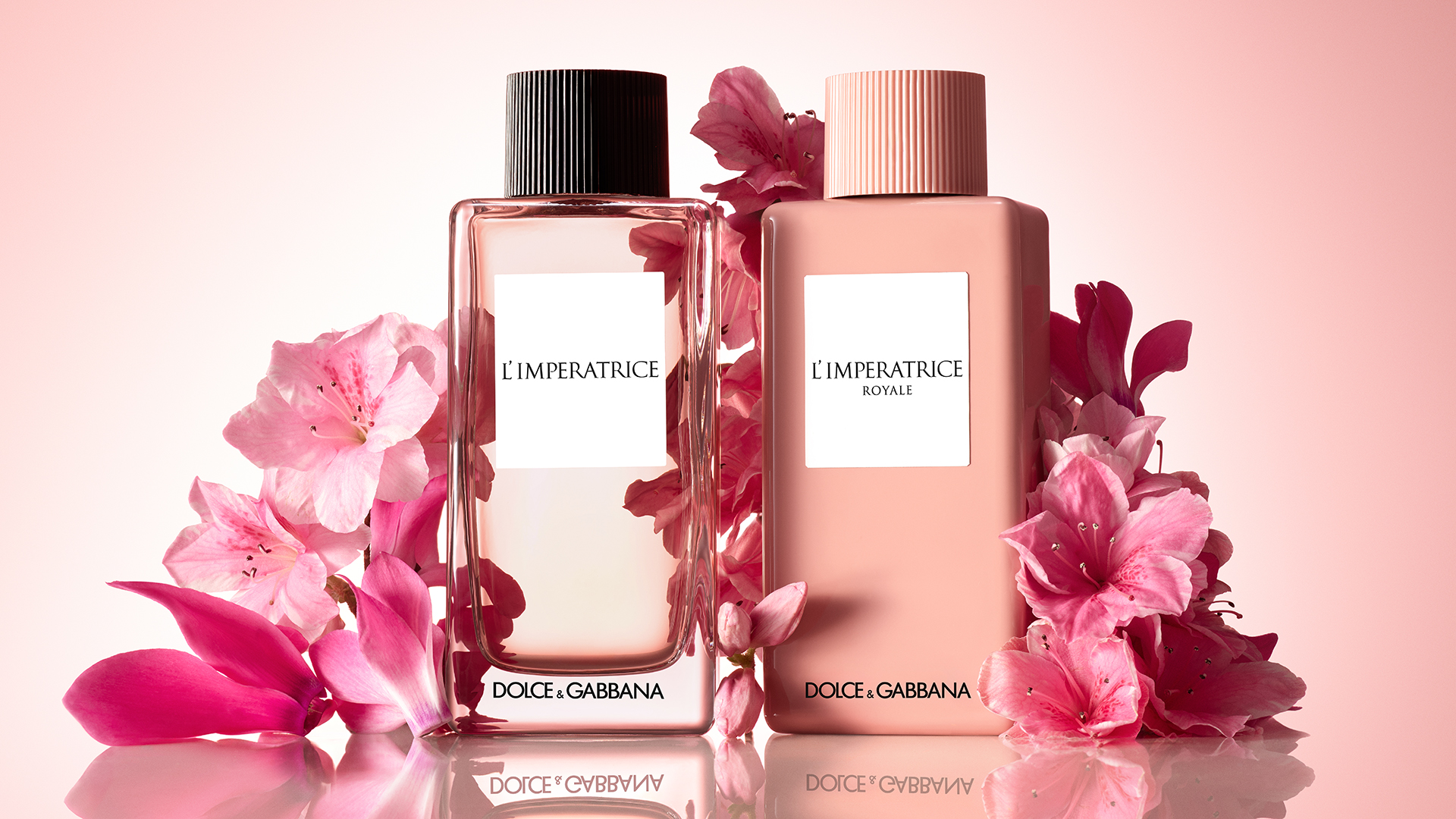 DG_FF_CP_IMPERATRICE_ROYALE_EDT_LIMITED_ED_100ML_IMPERATRICE_EDT_100ML_8054754400878_8057971182053_JPG_16_9_20