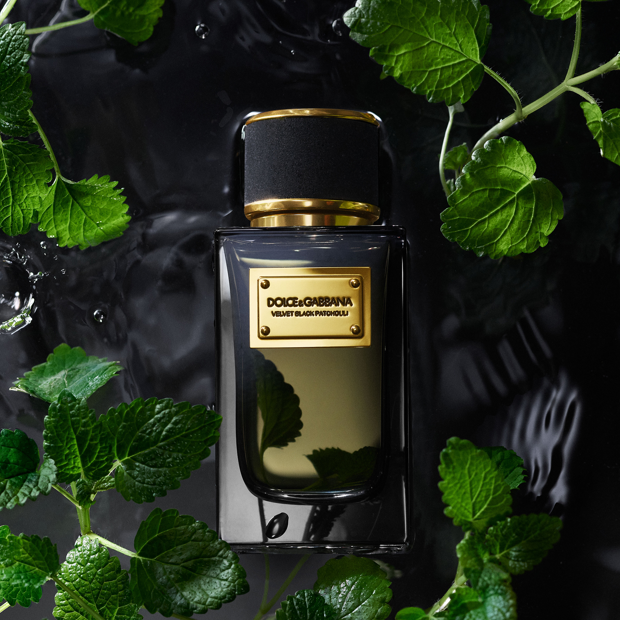 DG_FF_EC_PRODUCT_W_INGR_VELVET_BLACK_PATCHOULI_EDP_100ML_8054754400007_JPG_1_1_300DPI