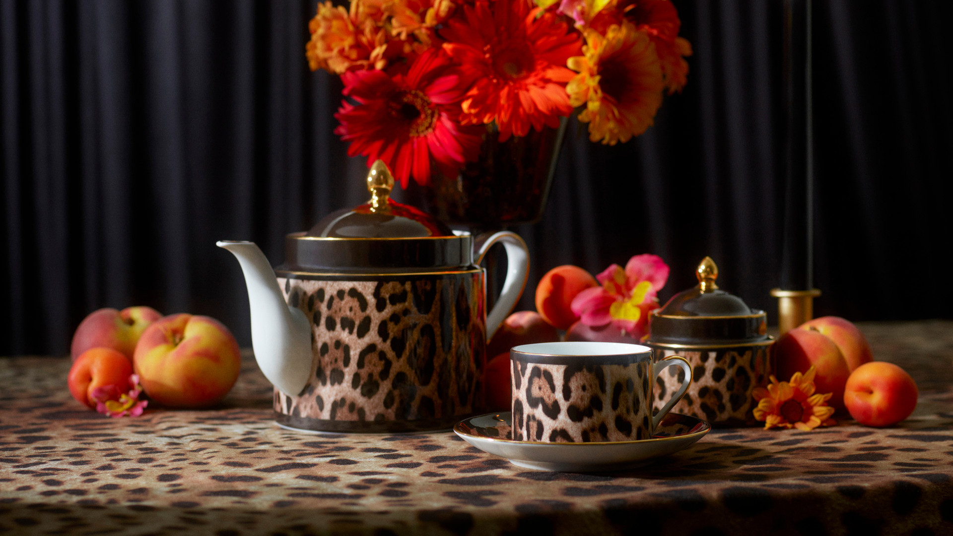 db322441-ce43-4d2f-97e9-647b121e786e