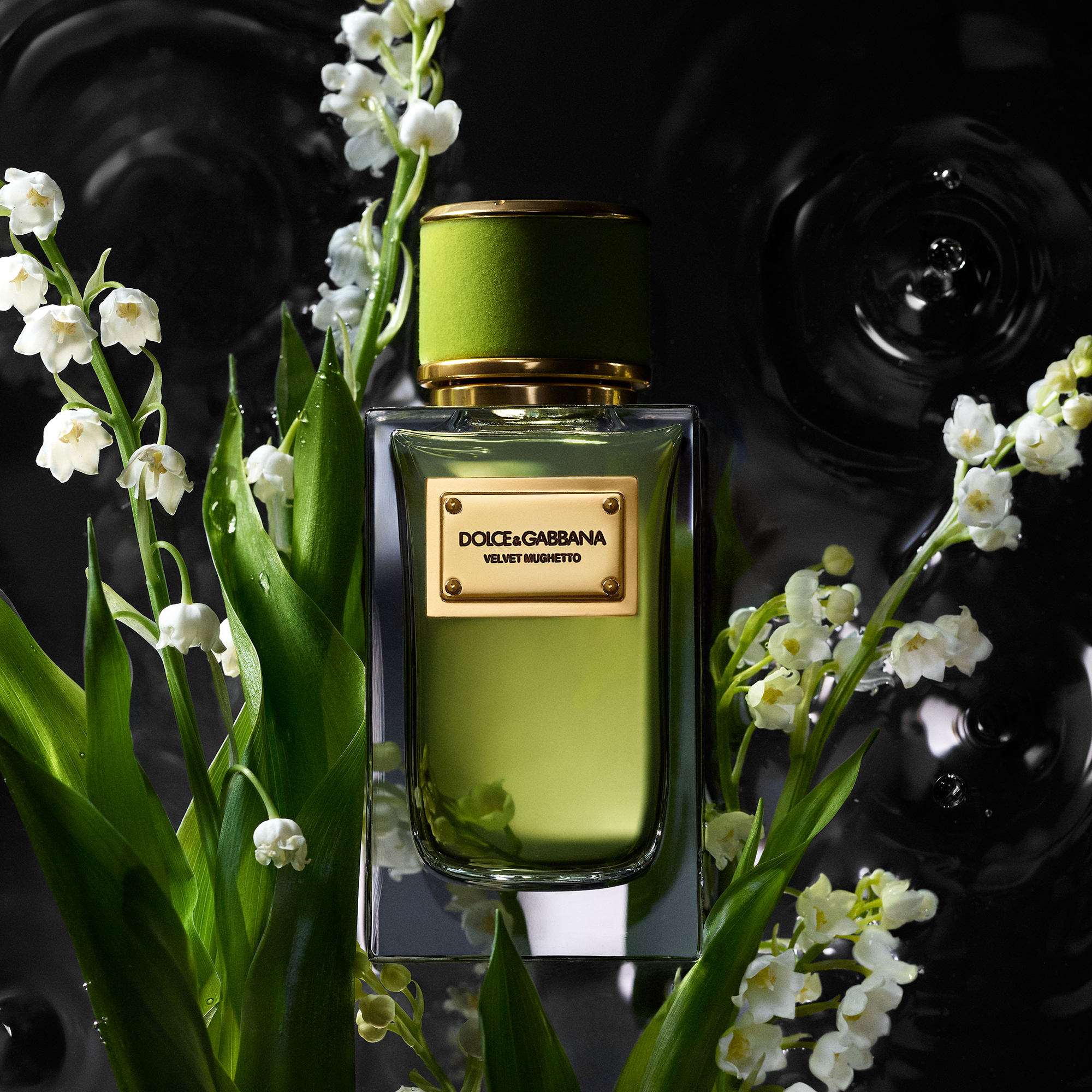 DG_FF_EC_PRODUCT_W_INGR_VELVET_MUGHETTO_EDP_100ML_8054754400076_JPG_1_1_300DPI