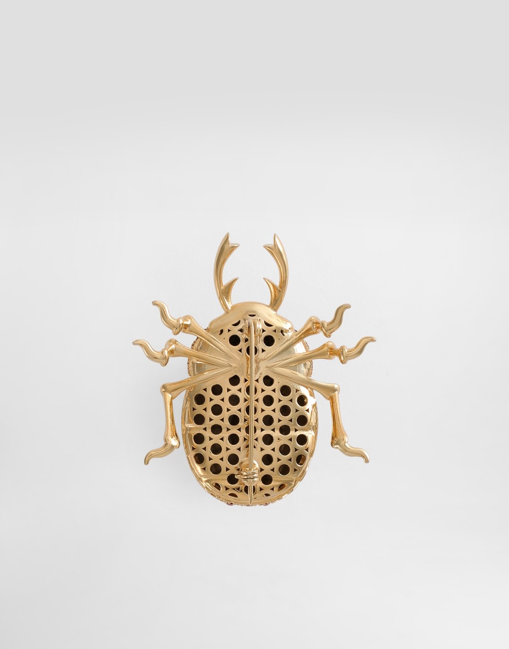 甲虫形状的带水钻胸针3