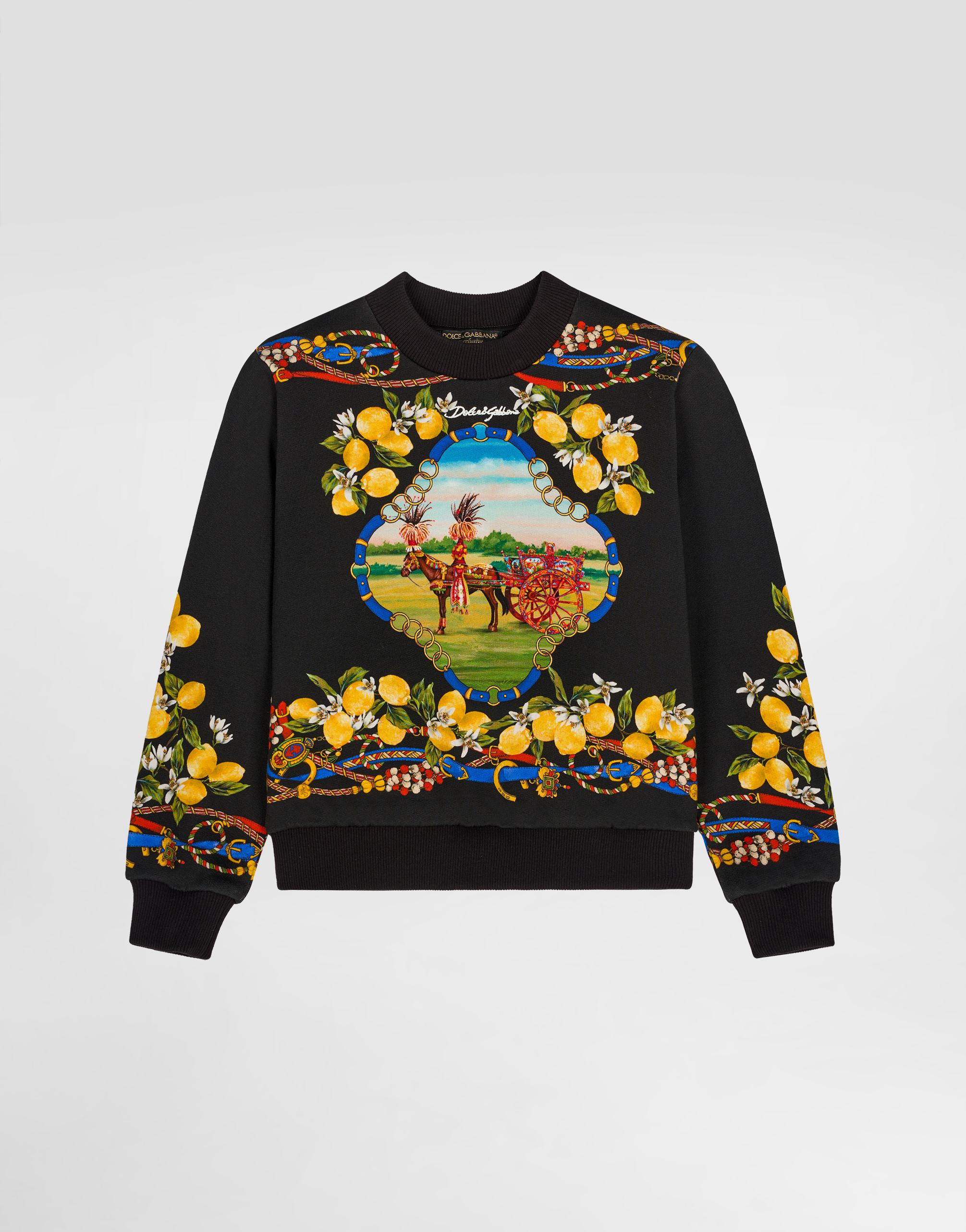 https://asset.dolcegabbana.com.cn/dg-prod-pim/1767687162-322-L4JWKDII7KE-CAVALLO2FLIMONI%2BFNERO-1.jpg