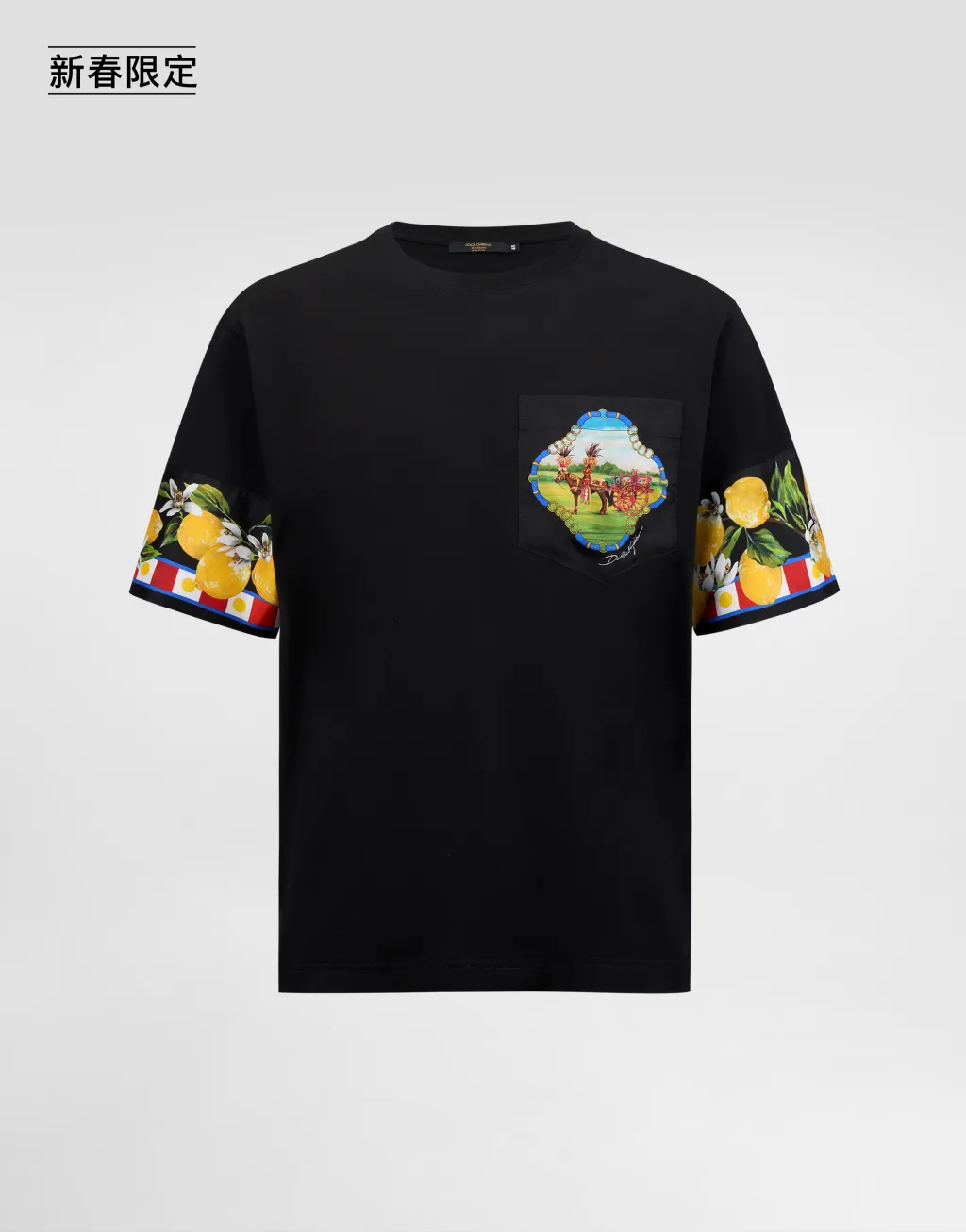 【新春限定】印花平纹针织 T 恤衫