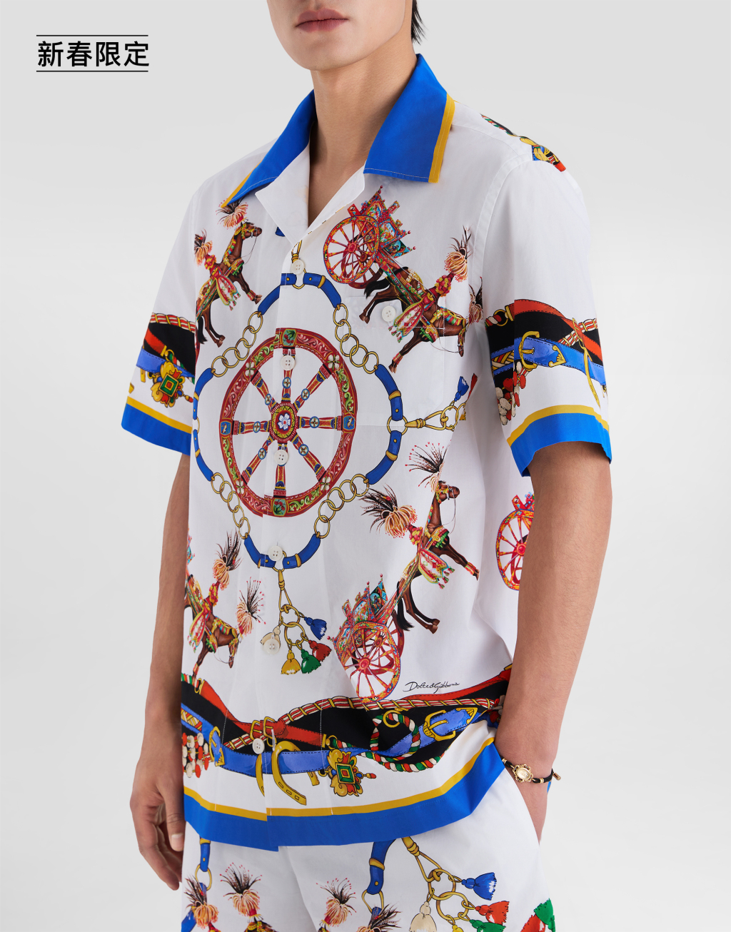 【新春限定】印花府绸夏威夷衬衫5