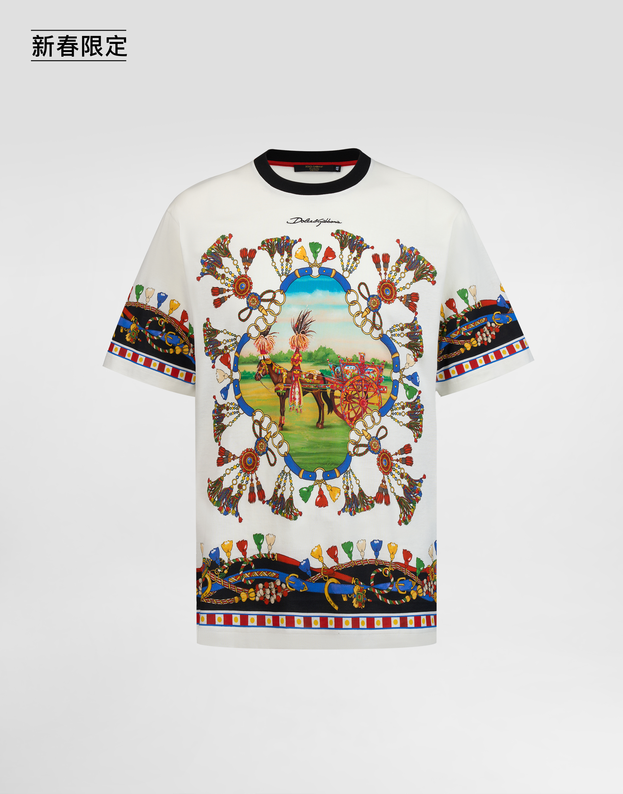 https://asset.dolcegabbana.com.cn/dg-prod-pim/1768565719-322-I8AREZII7KD-CAVALLO2FNAPPE%2BF.BCO-1.jpg