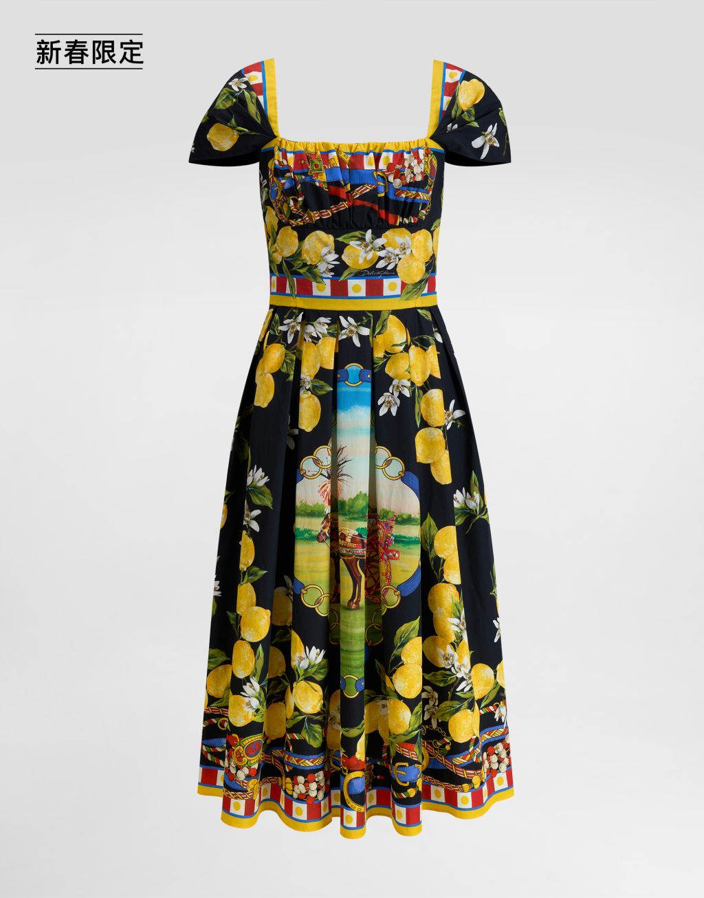 【新春限定】印花府绸连衣裙1