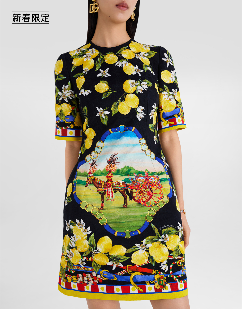 【新春限定】印花提花锦缎连衣裙5