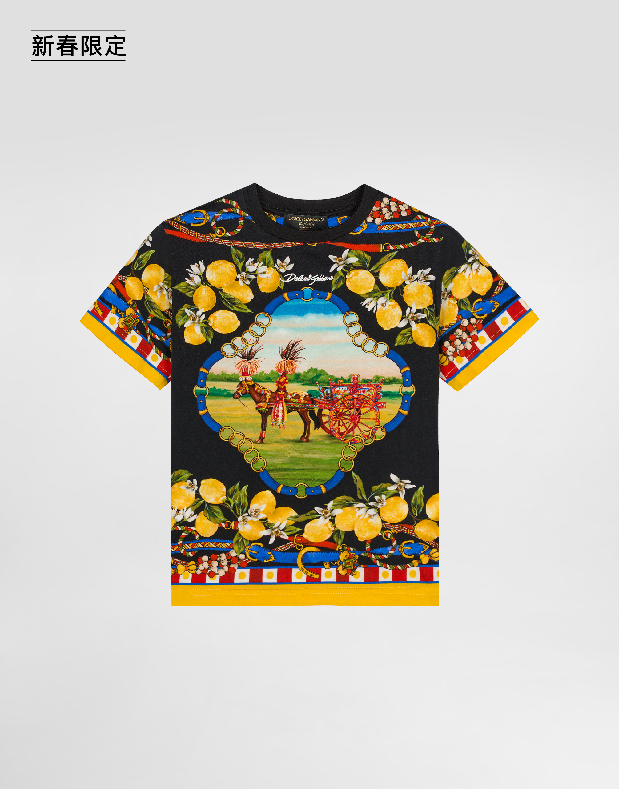 https://asset.dolcegabbana.com.cn/dg-prod-pim/1768565826-322-L4JTHUII7KF-CAVALLO2FLIMONI%2BFNERO-1.jpg