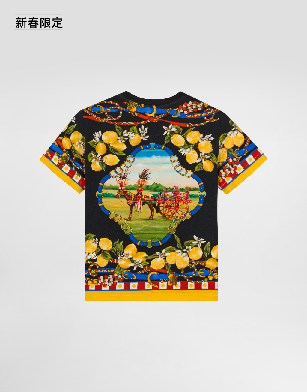 【新春限定】印花平纹针织 T 恤衫2