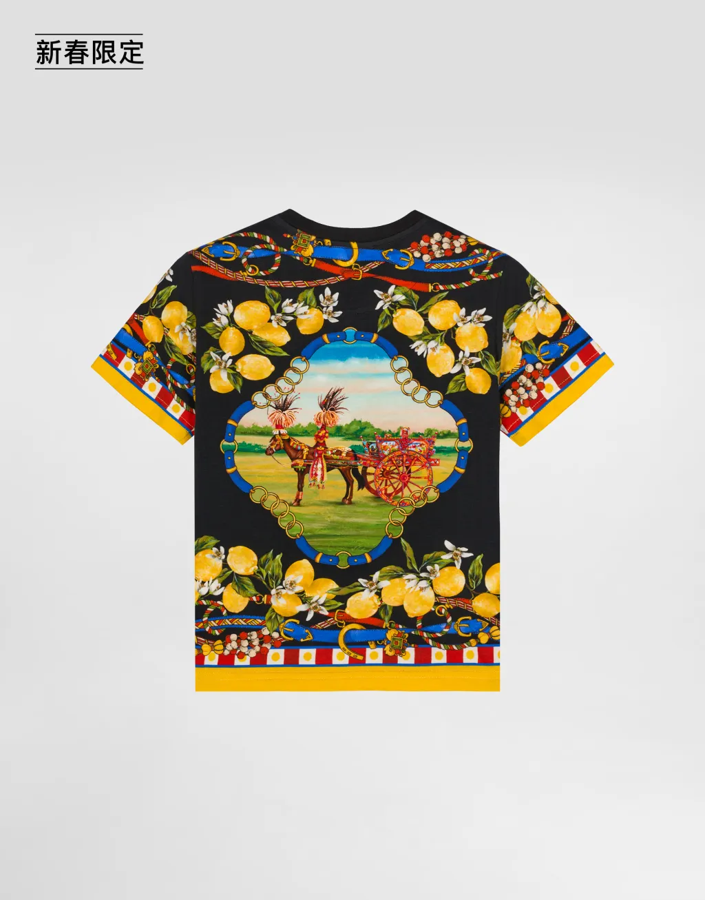 【新春限定】印花平纹针织 T 恤衫