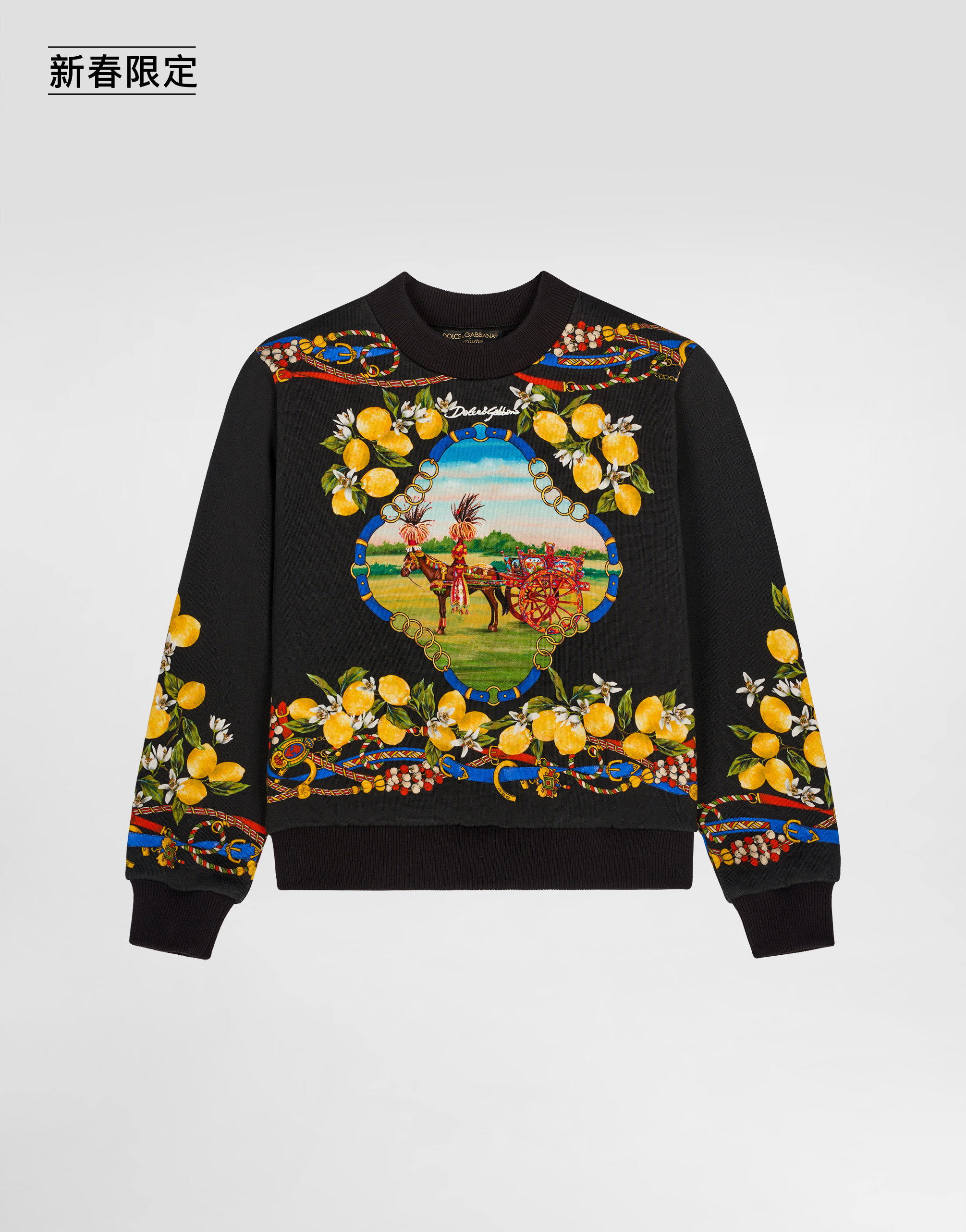 https://asset.dolcegabbana.com.cn/dg-prod-pim/1768565839-322-L4JWKDII7KE-CAVALLO2FLIMONI%2BFNERO-1.jpg