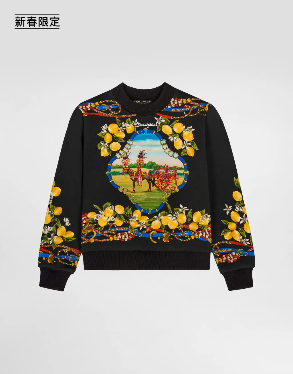 【新春限定】印花棉质卫衣