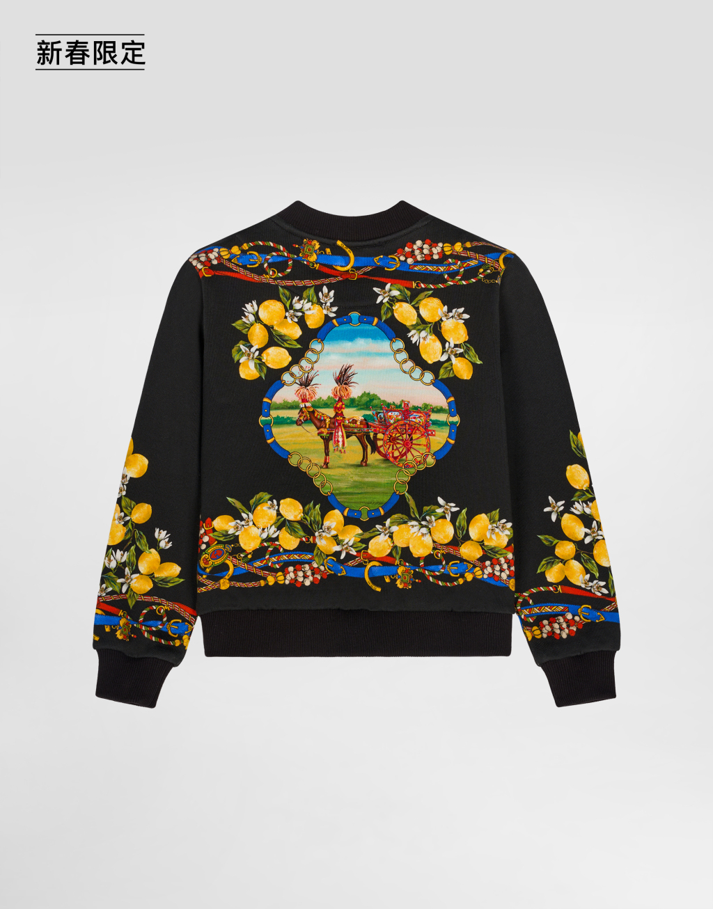 【新春限定】印花棉质卫衣2