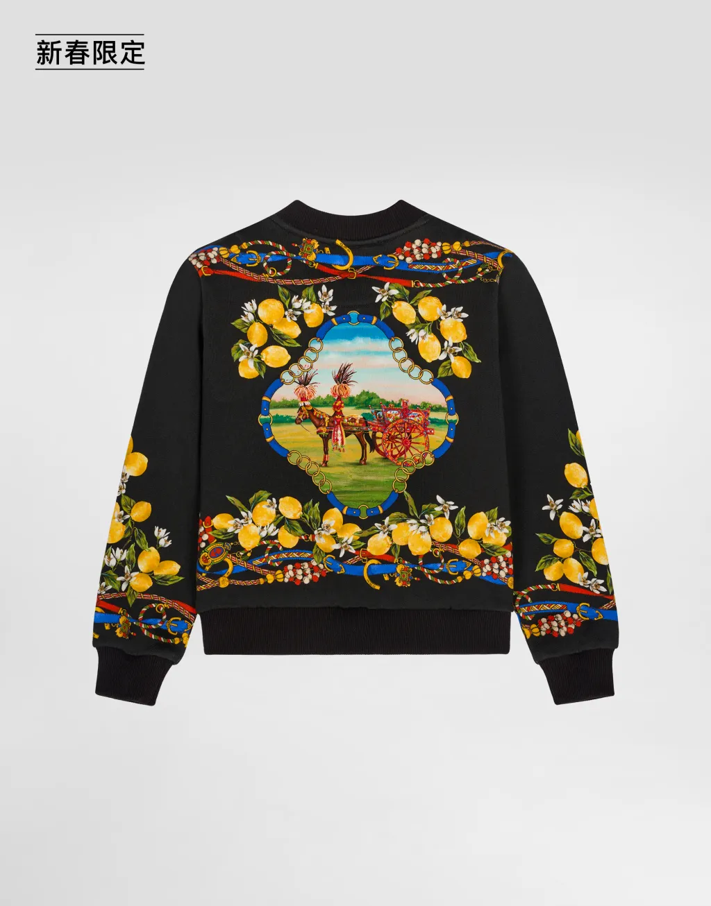 【新春限定】印花棉质卫衣