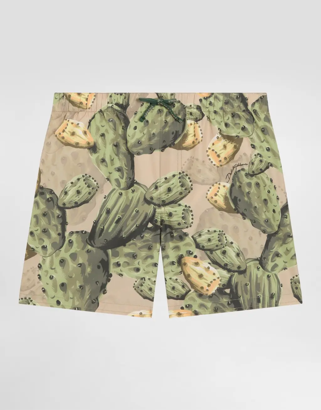 仙人掌印花中长款尼龙泳裤