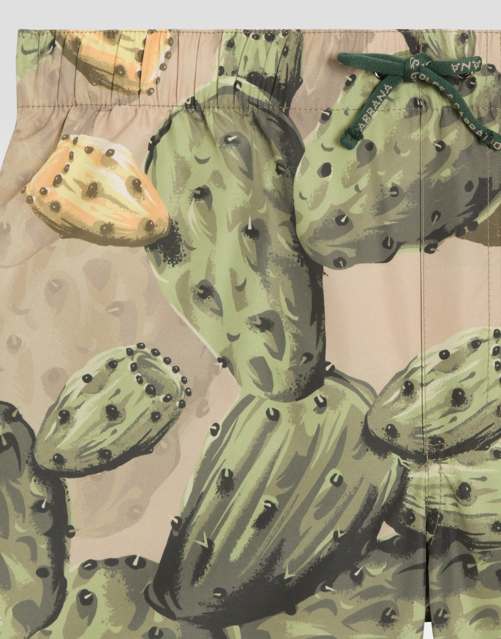 仙人掌印花中长款尼龙泳裤3