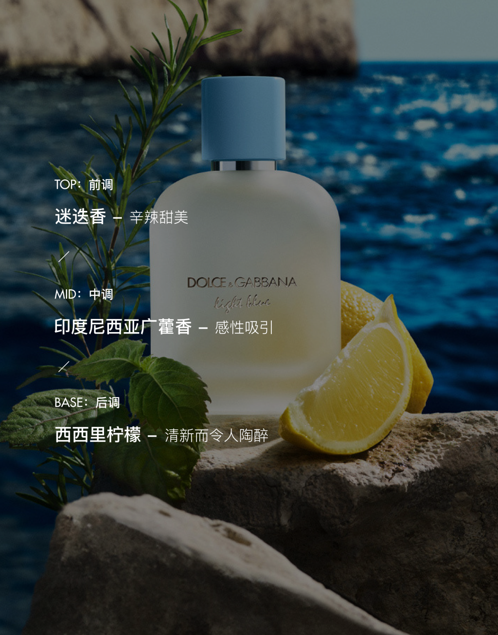 DOLCE&GABBANA 男士浅蓝淡香水 50ML4