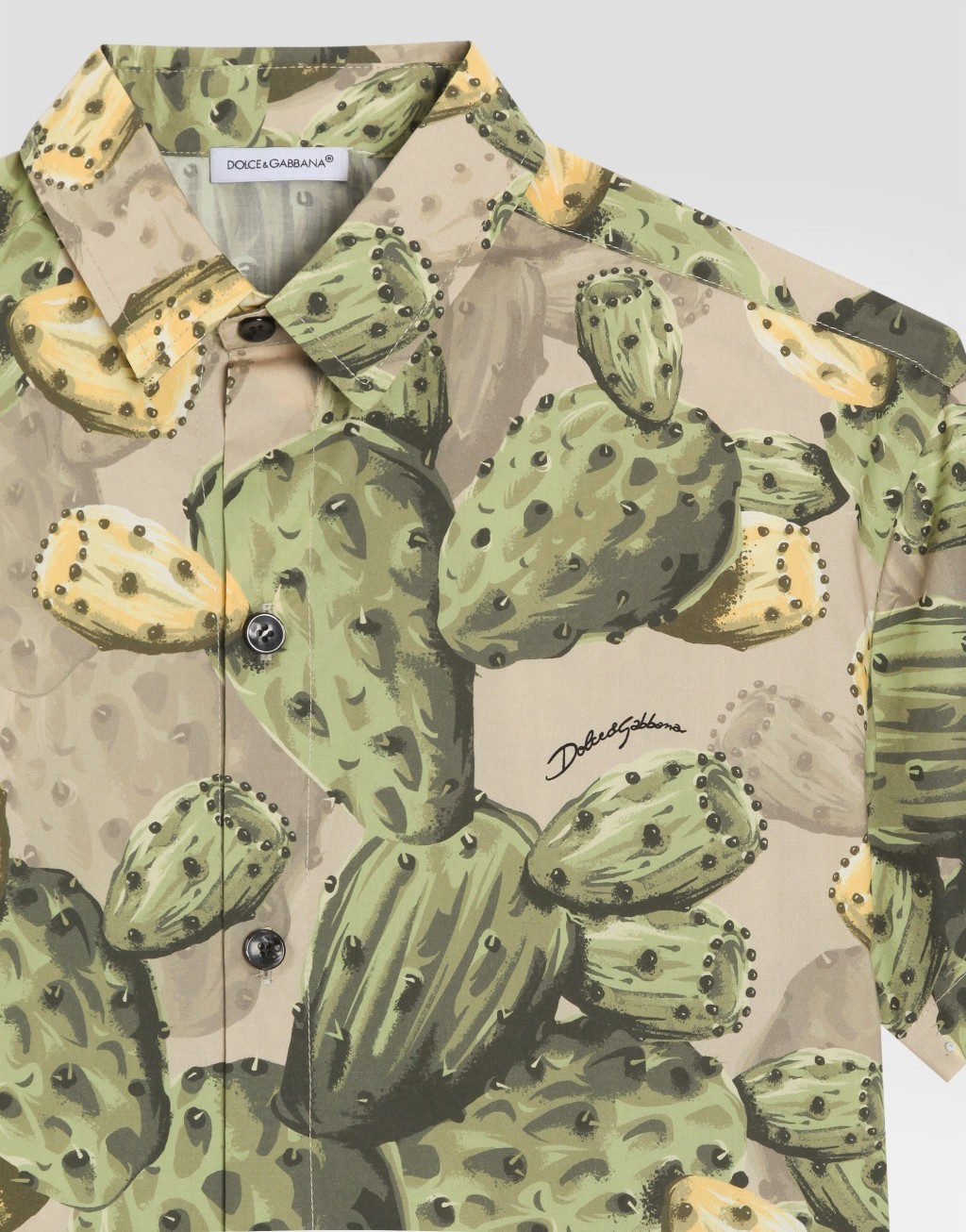 仙人掌印花府绸衬衫5