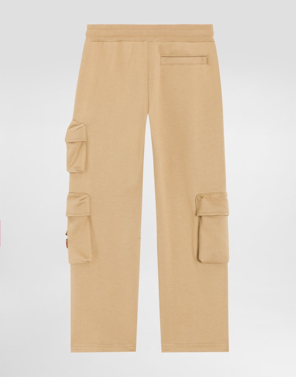 配DG徽标的抓绒工装裤3