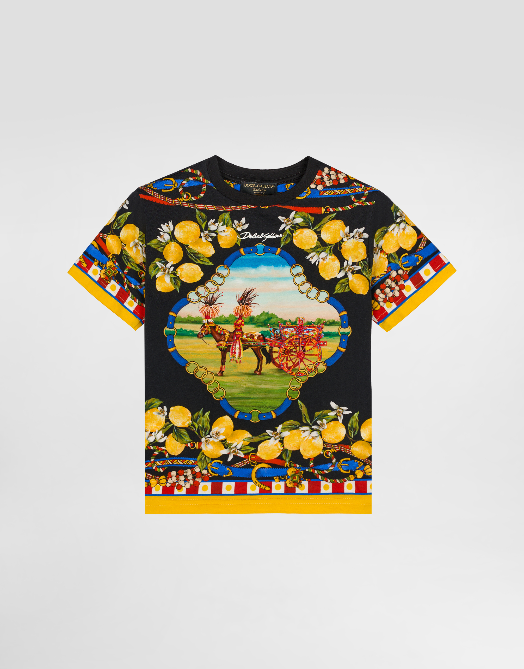https://asset.dolcegabbana.com.cn/dg-prod-pim/1776071448-322-L4JTHUII7KF-CAVALLO2FLIMONI%2BFNERO-1.jpg