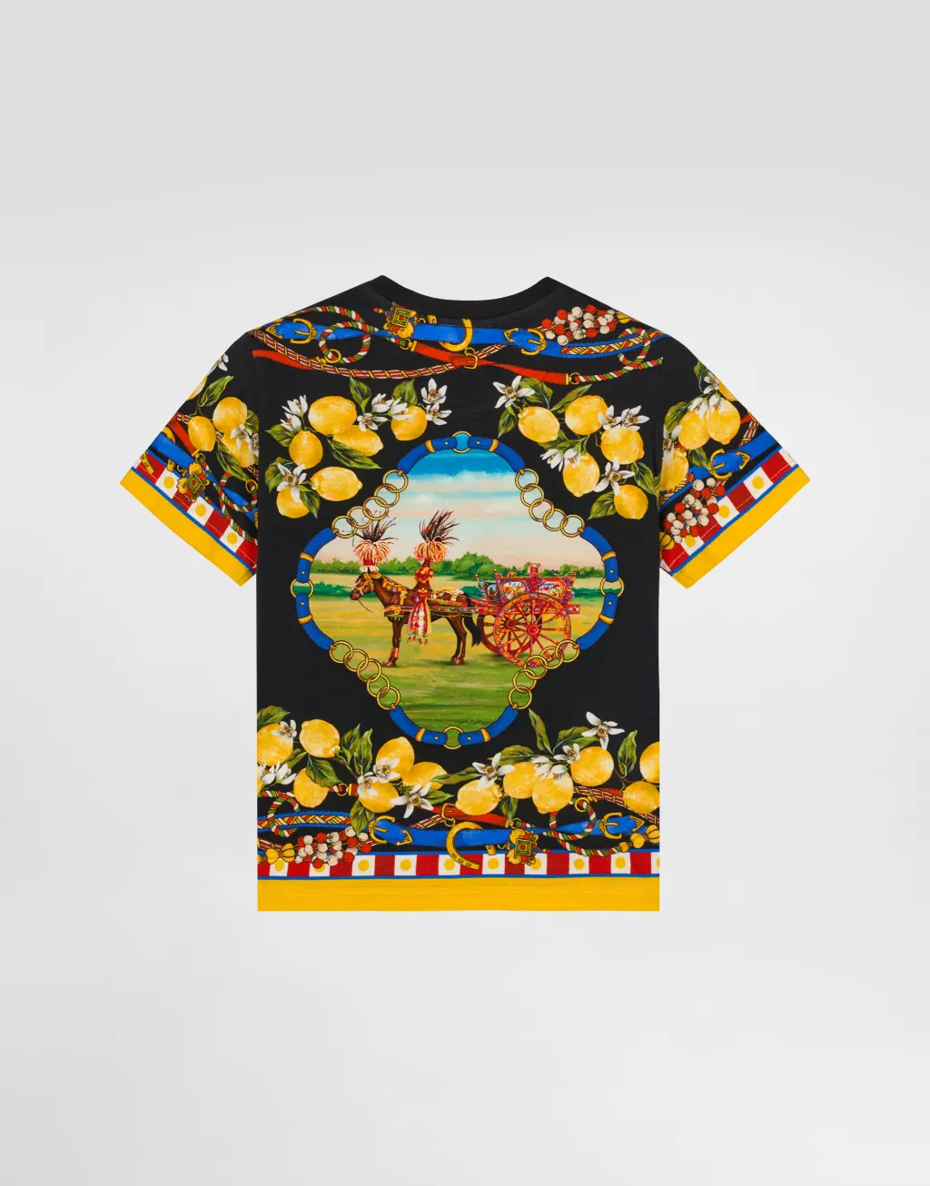 印花平纹针织 T 恤衫