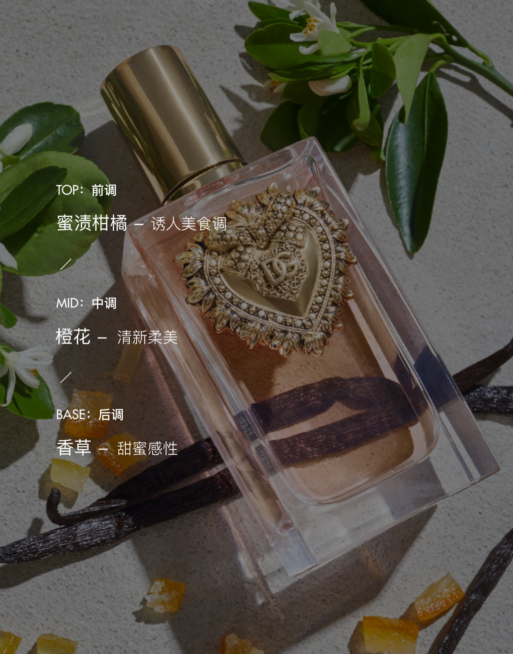 DOLCE&GABBANA 倾心之约女士香水 100ML4