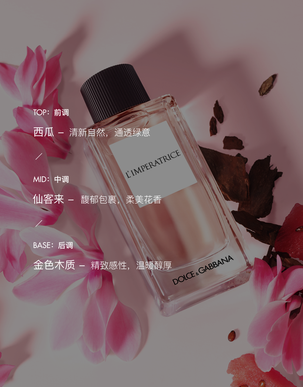 DOLCE&GABBANA 情迷女神淡香水 100ML4
