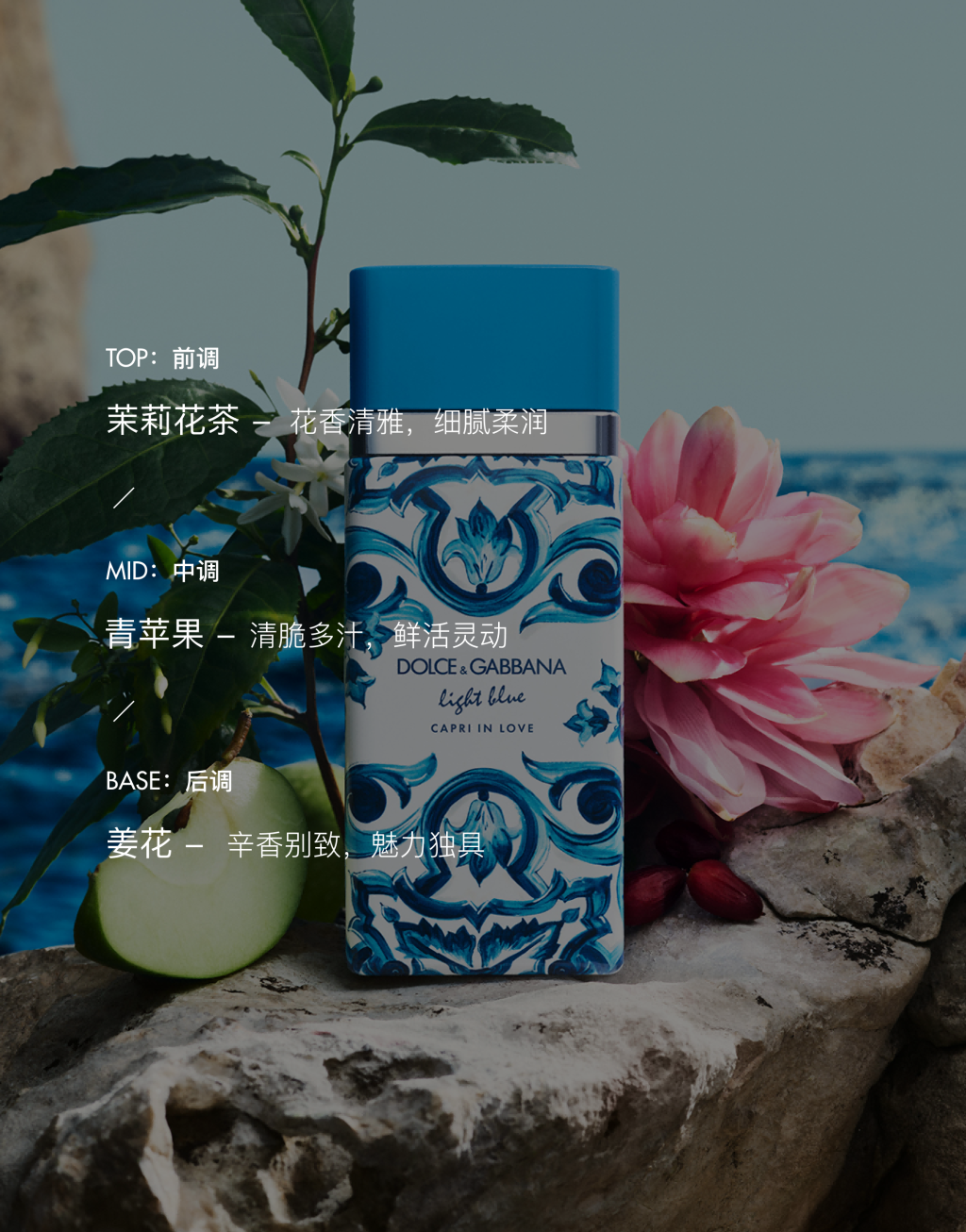 DOLCE&GABBANA 浅蓝爱在卡普里女士香水 50ML4