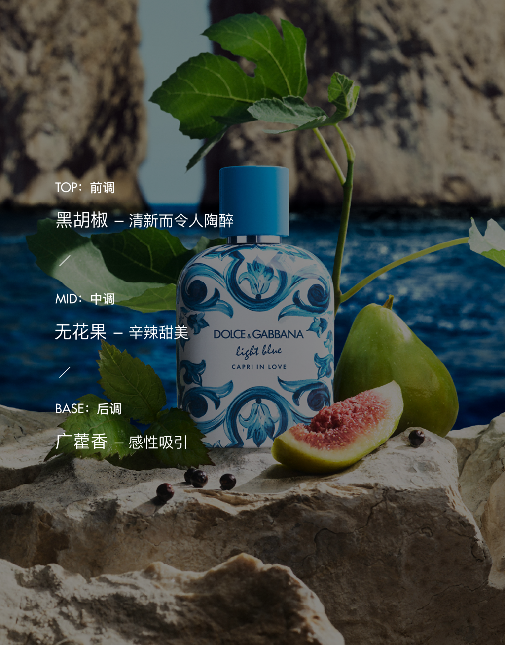 DOLCE&GABBANA 浅蓝爱在卡普里男士香水 100ML4