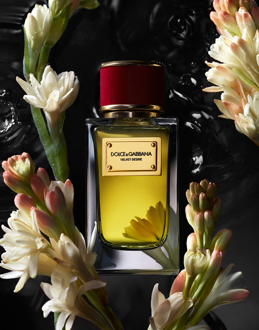 DOLCE&GABBANA 馥绒之息热情花园香水 100ML2