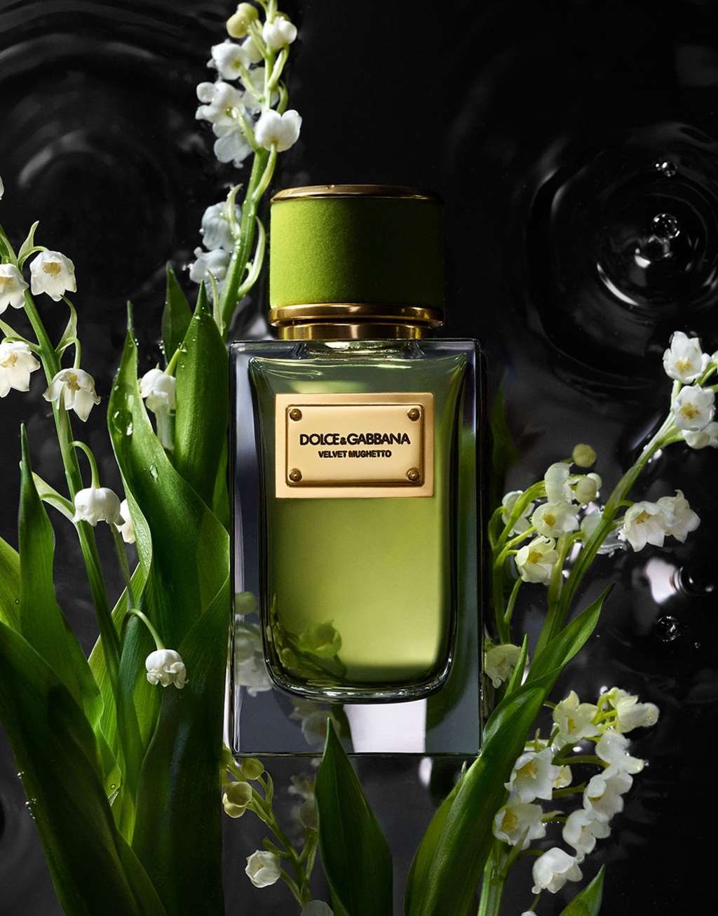 DOLCE&GABBANA 馥绒之息逸雅铃兰香型香水 100ML2