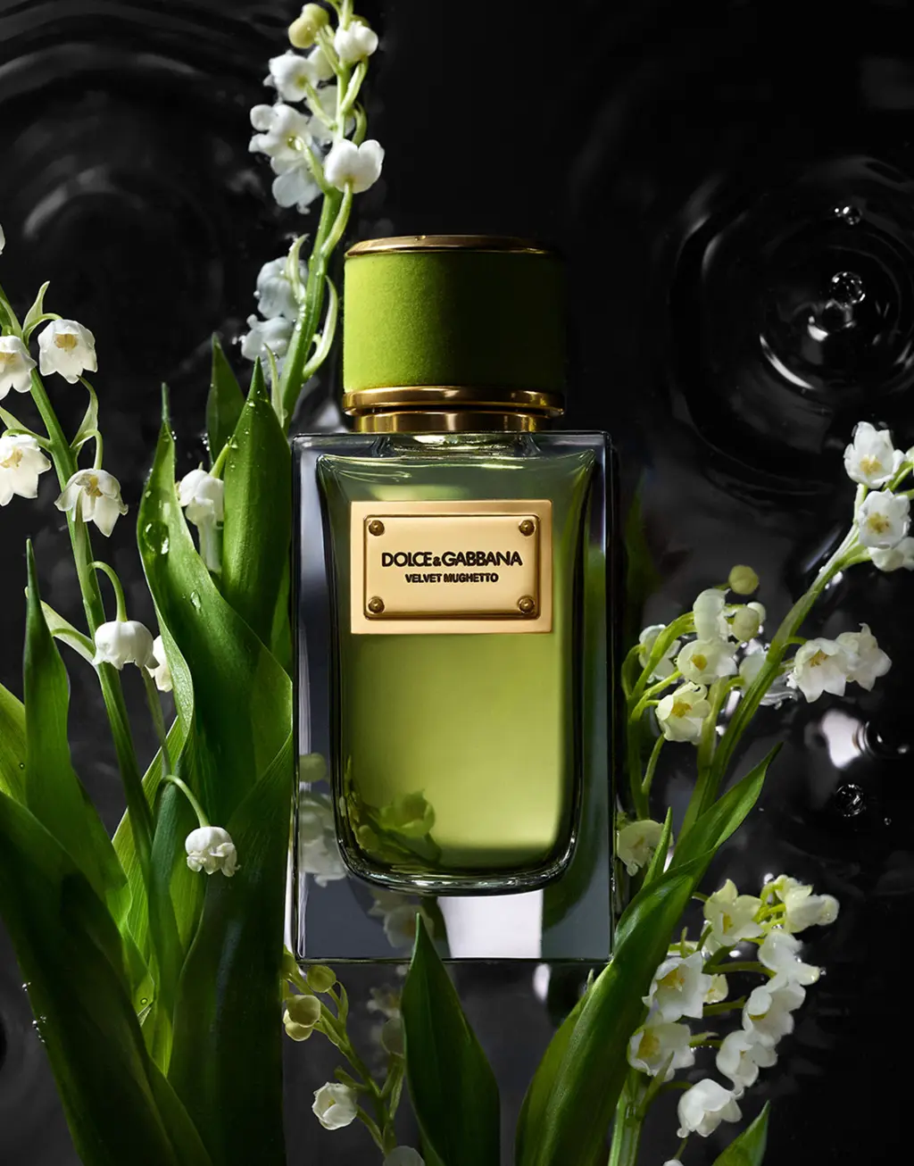 DOLCE&GABBANA 馥绒之息逸雅铃兰香型香水 100ML