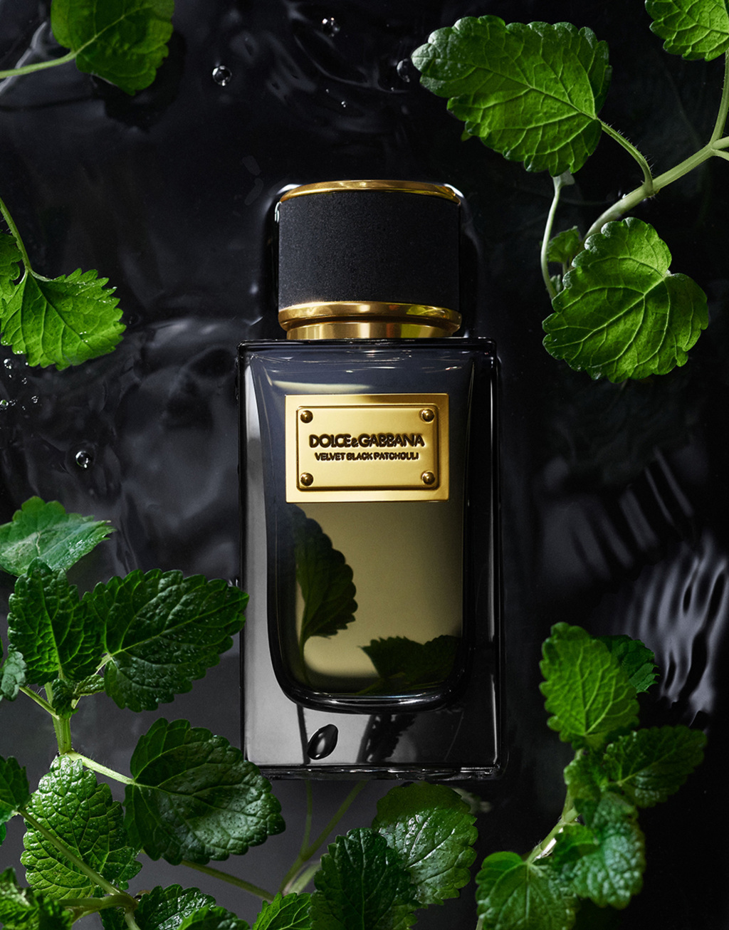 DOLCE&GABBANA 馥绒之息黝惑广藿香香型香水 100ML2