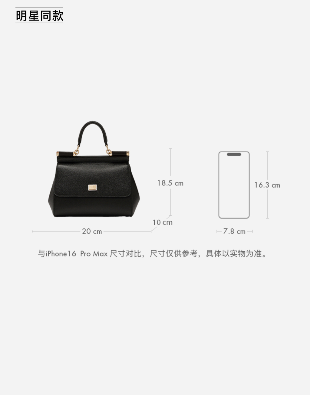 明星同款Sicily 中号 DAUPHINE 牛皮革手袋10