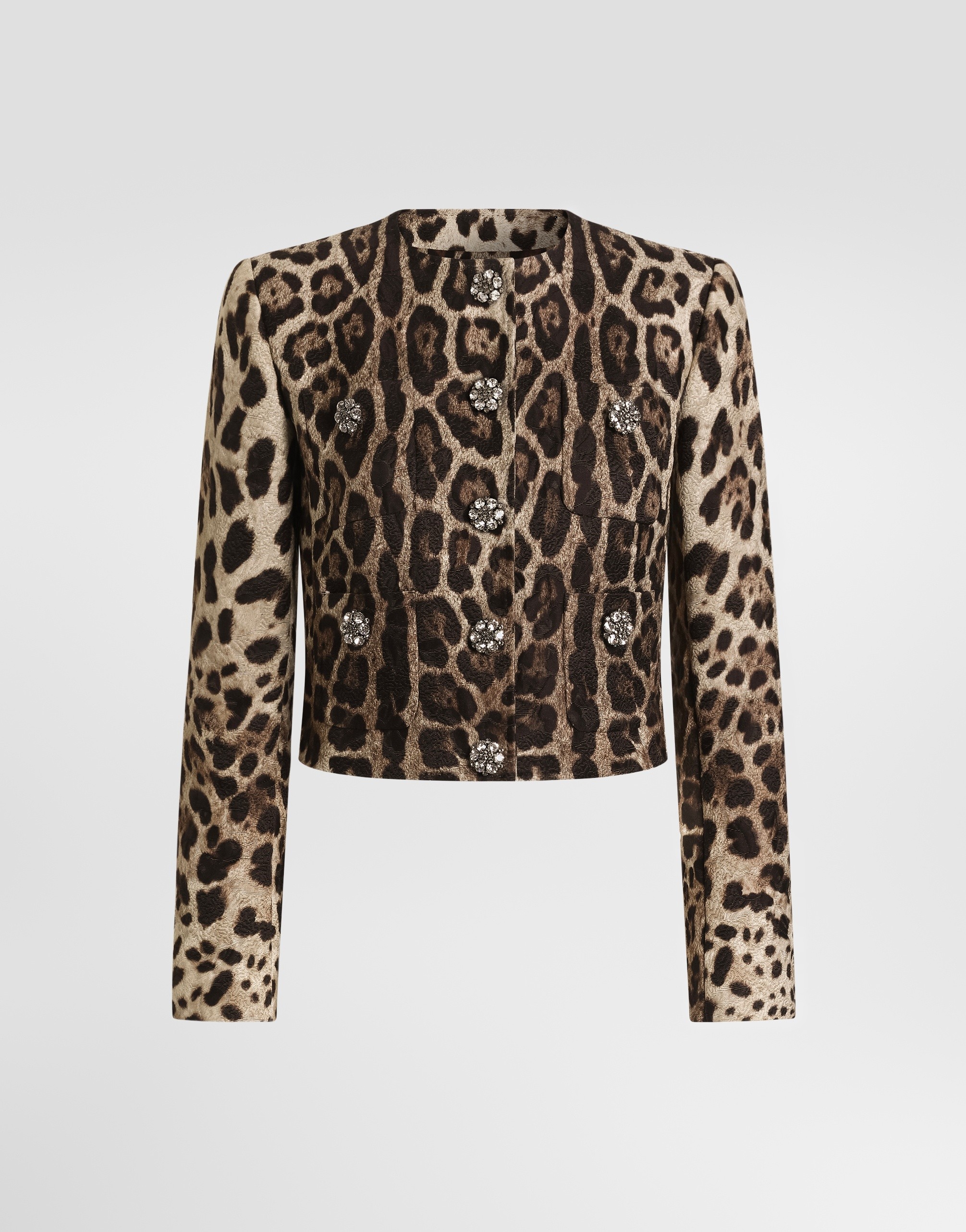 https://asset.dolcegabbana.com.cn/dg-prod-pim/6a3e2cd8578831782459593-322-F27HKZFSTB3-LEO%2BNEW-1.png