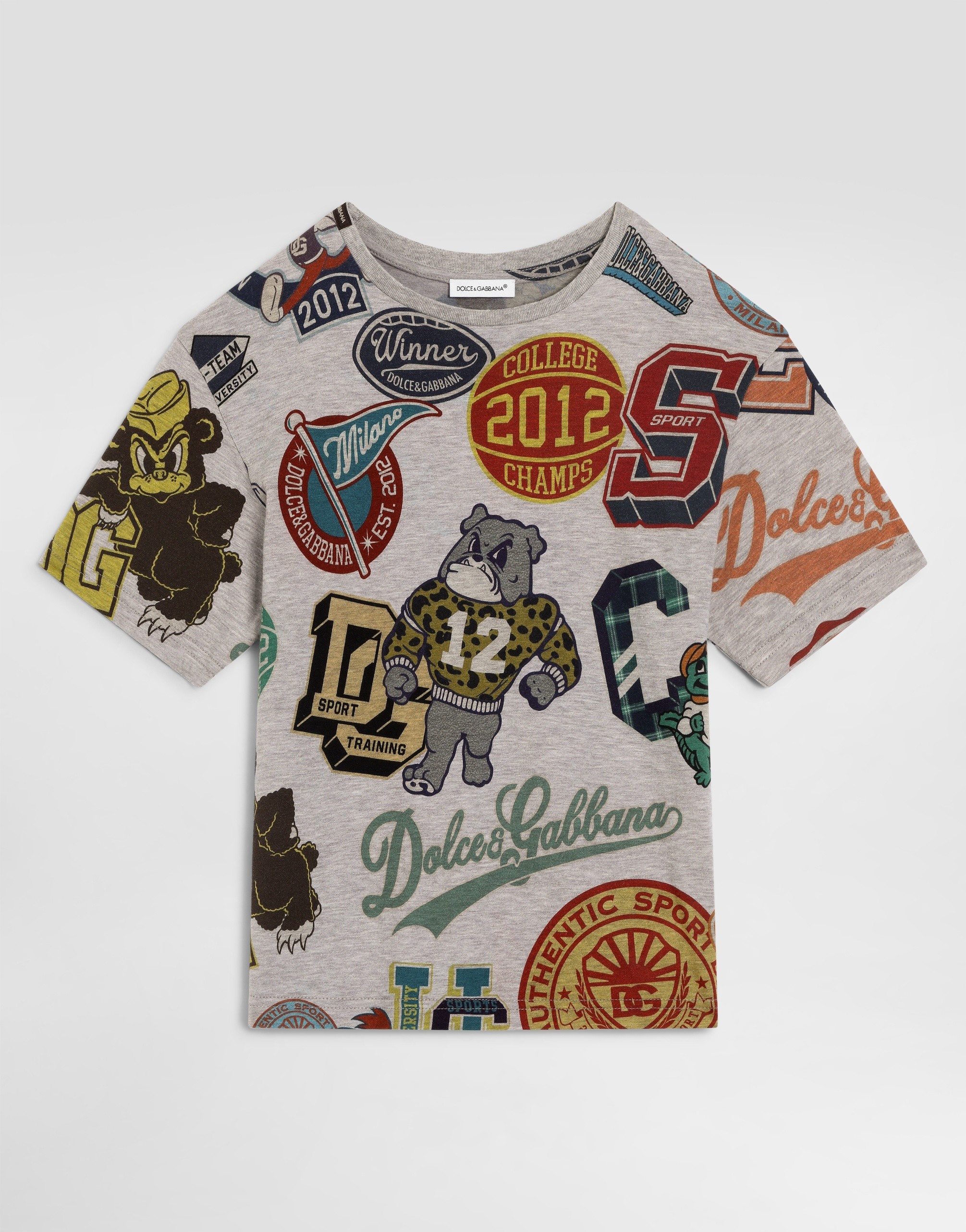 https://asset.dolcegabbana.com.cn/dg-prod-pim/6a473602c3de11783051763-322-L4JTHVG7P6C-MASCOTTE2%2BFDO%2BGRIGIO-1.png