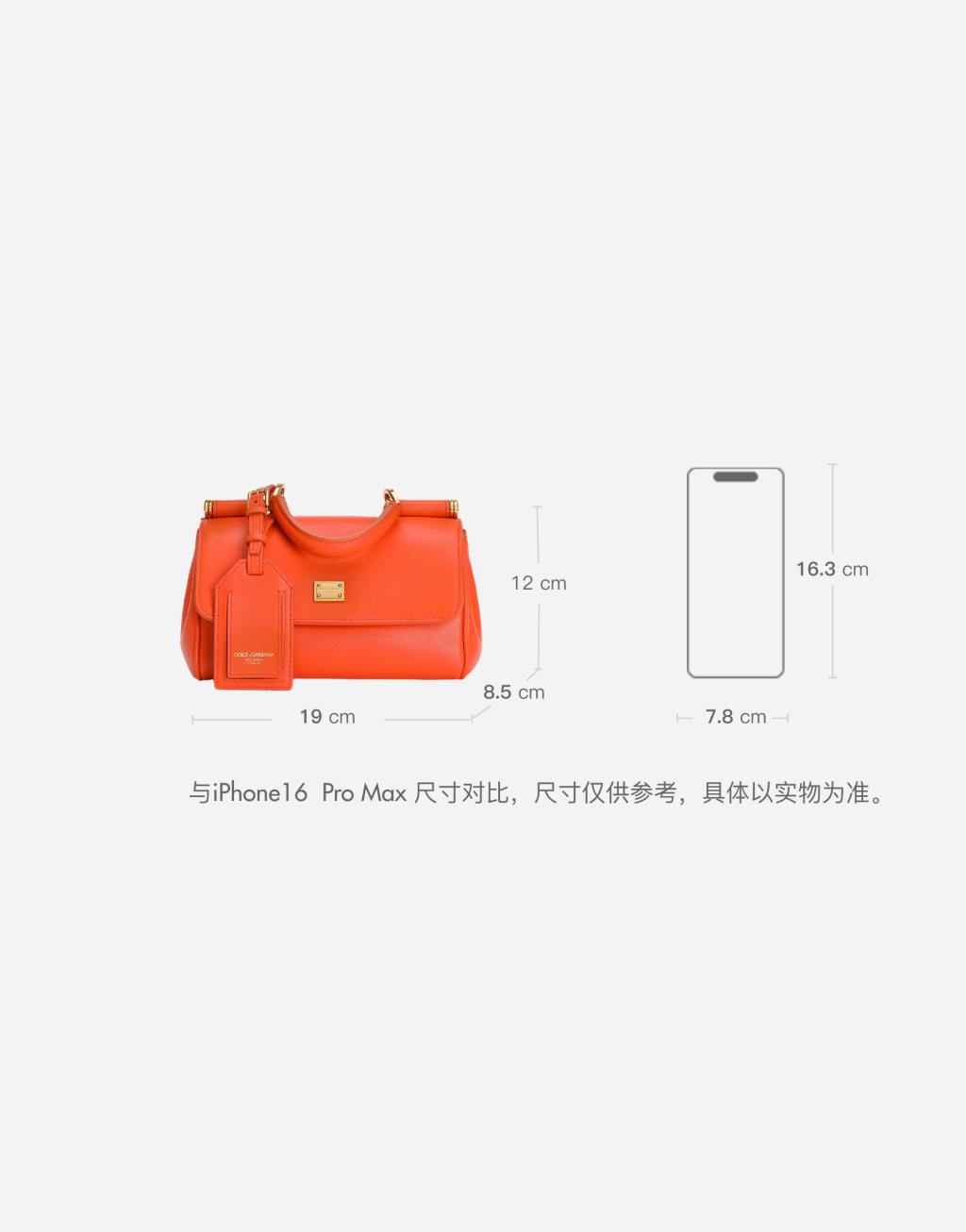 Mini My Sicily 小牛皮手袋10