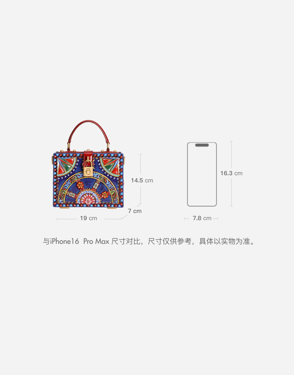 Dolce Box 树脂手提包8