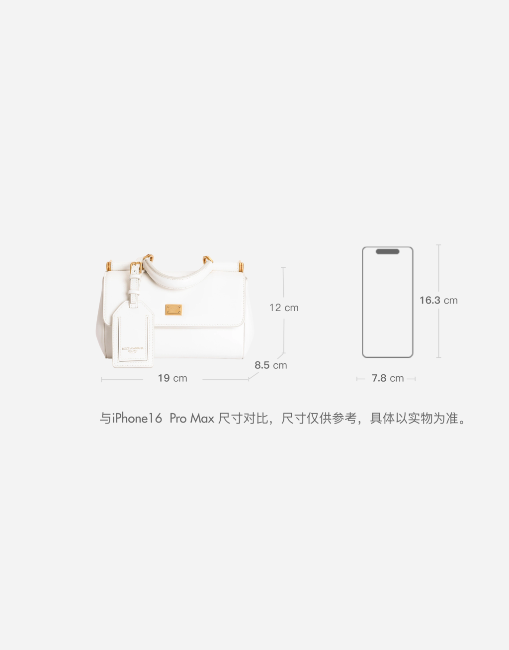 Mini My Sicily 小牛皮手袋10