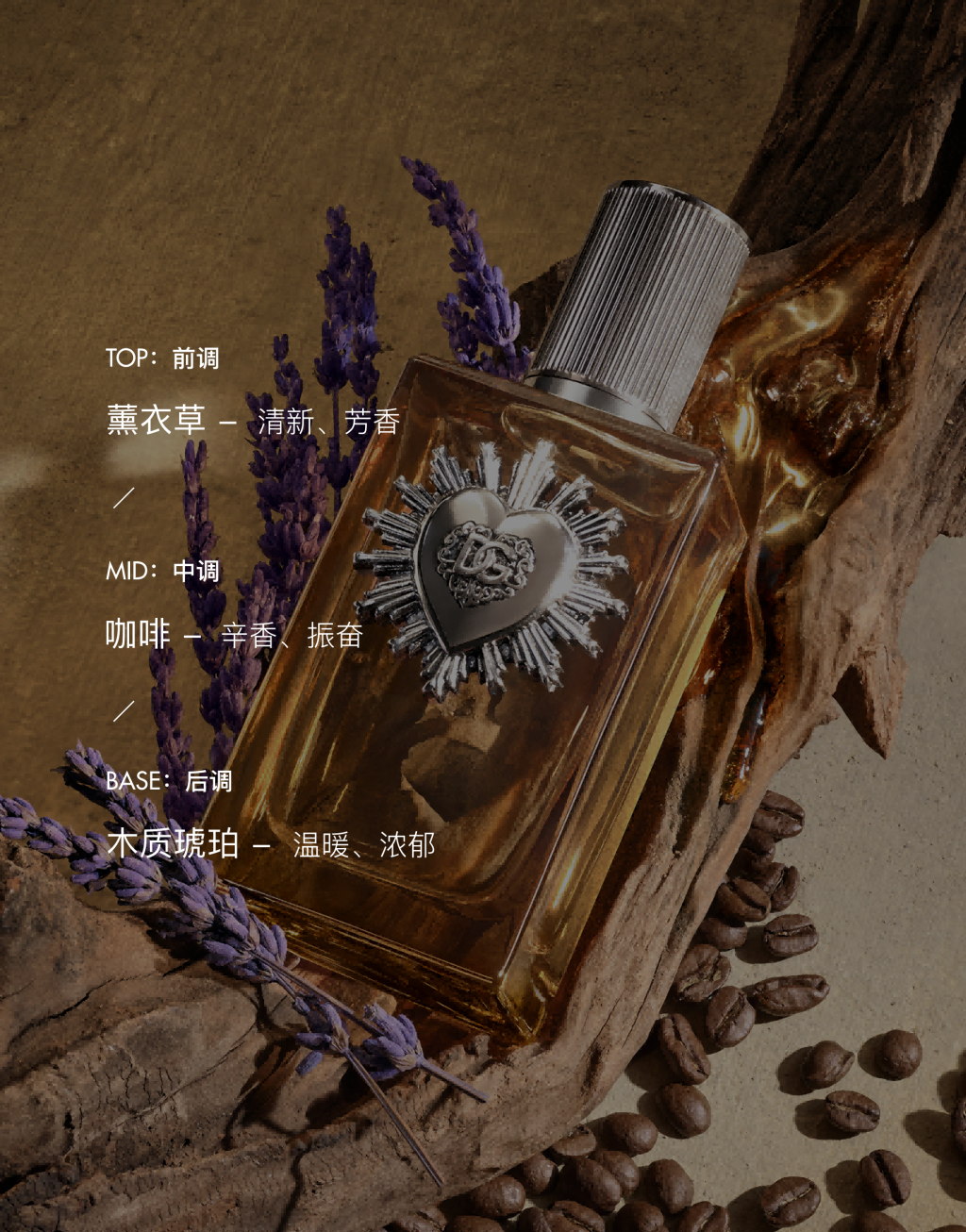 DOLCE&GABBANA 倾心之约男士香精 100ML4